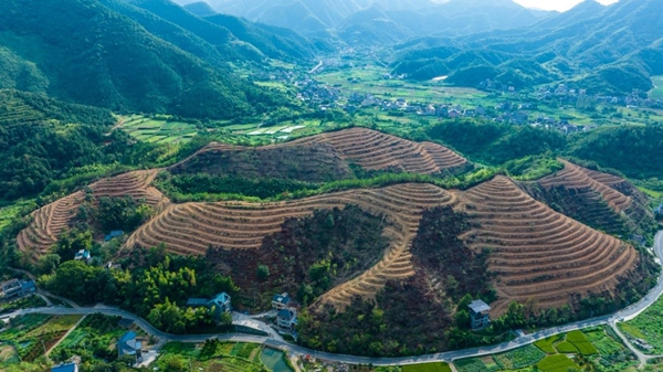 浙江衢州的“两山”答卷(图2)